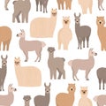 Seamless pattern with cute llamas and alpacas on white background. Backdrop with funny wild wooly domestic animals