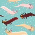 Seamless pattern Cute orange pink brown Axolotl Cartoon character on blue background in the aquarium (Mexican salamander, Ambysto