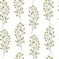 Seamless pattern. Cute pattern with birch branches. White background.