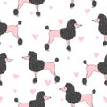 Seamless pattern with cute pink and black poodle dog