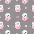 Seamless pattern with cute pomeranian dog.