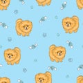 Seamless pattern with cute pomeranian puppy on blue.