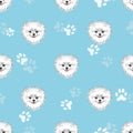 Seamless pattern with cute pomeranian puppy.