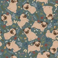 Seamless pattern with cute pugs and flowers. Vector graphics