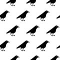 Seamless pattern of cute raven crow vector on white background.