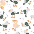 Seamless pattern with cute seagulls and pelicans.