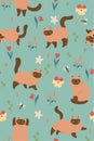 Seamless pattern with cute Siamese cats and flowers. Vector graphics