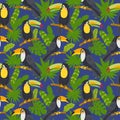 Seamless pattern with cute toucans from the jungle