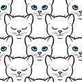 Seamless pattern with cute white cats