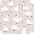 Seamless pattern with cute white gooses. Domestic and wild ducks on farm. Hand drawn print. Perfect for fabric, package