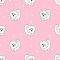 Seamless pattern with cute white pomeranian puppy on pink
