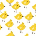 Seamless pattern of cute yellow chickens on a white background Easter birds in a childish style for design