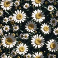 Seamless pattern with 3d realistic daisy flowers illustration design