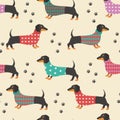 Seamless pattern with dachshunds in clothes and dog prints Royalty Free Stock Photo