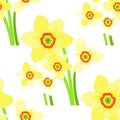 Seamless pattern with daffodils flower. vector illustration Royalty Free Stock Photo
