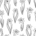 Seamless pattern with daffodils. Hand-drawn black-white