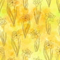 Seamless pattern with daffodils on yellow watercolor background. Floral art background. Perfect for design templates, wallpaper, Royalty Free Stock Photo