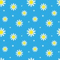 Seamless pattern with daisy flower on blue background. Cute chamomile floral print.