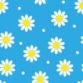 Seamless pattern with daisy flower on blue background. Cute chamomile floral print.