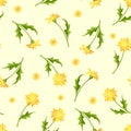 Seamless pattern with dandelion flowers. Vector illustration.