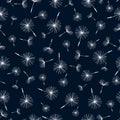 Seamless pattern with dandelion fluff Royalty Free Stock Photo