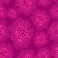 A seamless pattern of a dandelions flowers pink