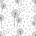 Seamless pattern with dandelions fluff Royalty Free Stock Photo