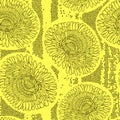 Seamless pattern of dandelions. Hand-drawn floral background, v