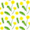 Seamless pattern with dandelions. Hand drawn watercolor illustration. Texture for print, fabric, textile, wallpaper