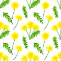 Seamless pattern with dandelions. Hand drawn watercolor illustration. Texture for print, fabric, textile, wallpaper