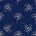 Seamless pattern of dandelions on a navy background. Royalty Free Stock Photo