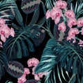 Seamless pattern, dark green colors palm leaves and tropical pink orchid flowers on black background. Royalty Free Stock Photo