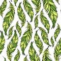 Seamless pattern with decorative feathers. Vector illustration