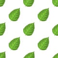 Seamless pattern with decorative green raspberry leaves on white background. Vector illustration for any design