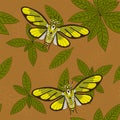 SEAMLESS PATTERN with a decorative pattern of leaves and singing cicadas. brown and green tones. natural background for textile, p