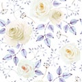 Seamless pattern of delicate white roses with purple leaves and herbs on white background. Hand drawn watercolor Royalty Free Stock Photo