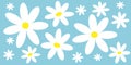 Seamless pattern delicate chamomile flowers retro style. EPS10 vector