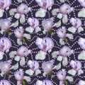 Seamless pattern. Delicate flowers of irises on a purple underlay with pearl beads Royalty Free Stock Photo