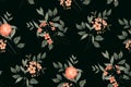 Seamless floral pattern, watercolor botanical print with large flowers, leaves on a black background. Vector. Royalty Free Stock Photo