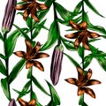 Seamless pattern depicting a Lily plant with flower buds and leaves
