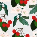 Seamless pattern design with cherries and cherry blossom