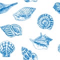 Sea shells variety blue outline hand drawn illustration