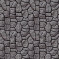 Seamless  pattern. Detail of lizard skin under stereomicroscope Royalty Free Stock Photo