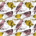Seamless pattern with different birds and plants drawn by hand
