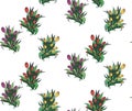 Seamless pattern with different bouquettes of tulips