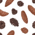 Seamless pattern with different cones of pine, spruce and fir trees on white background. Endless repeating texture with