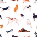 Seamless pattern with different dogs breed isolated on white background. Cute domestic animal various breeding vector Royalty Free Stock Photo