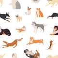 Seamless pattern with different dogs and puppies on white background. Endless repeatable texture with various canine Royalty Free Stock Photo