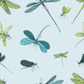 Seamless pattern with different dragonfly. Hand drawn background with flying adder. Vector illustration. Royalty Free Stock Photo