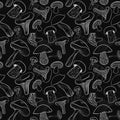 Seamless pattern with different hand drawn mushrooms on chalkboard.